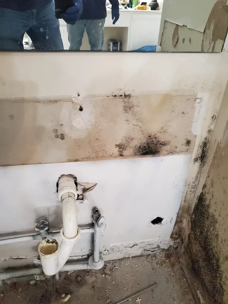 Professional cleaning mold from a wall after water damage restoration
